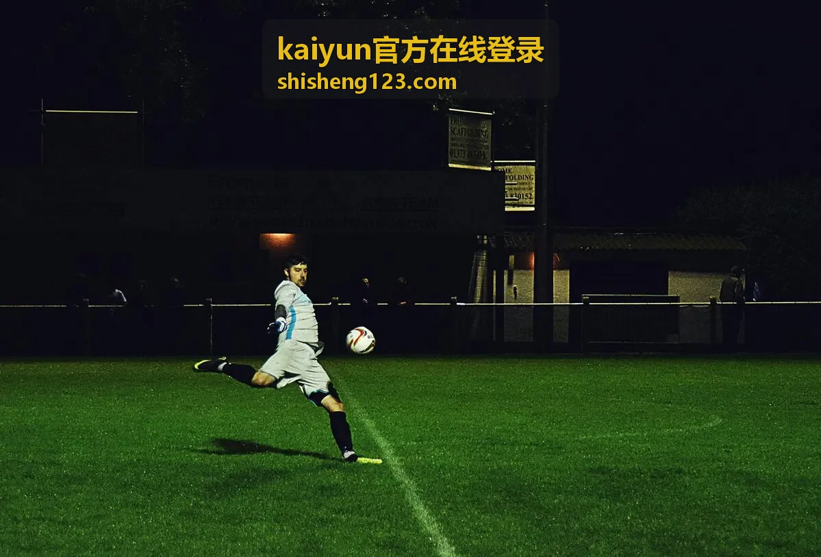 kaiyun官方在线登录账号安全自查与异常处理指引界面